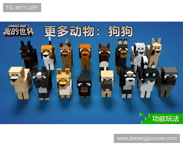 探索AG亚登录官网的多样游戏玩法与丰富优惠活动，助你轻松赢取大奖